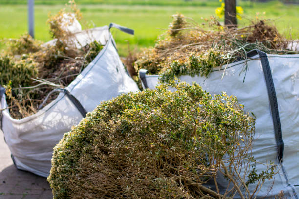 Best Same-Day Junk Removal  in West Carthage, NY