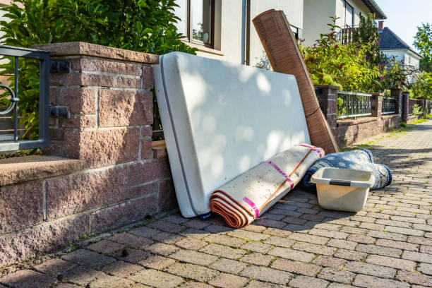 Yard Cleanup Services in West Carthage, NY